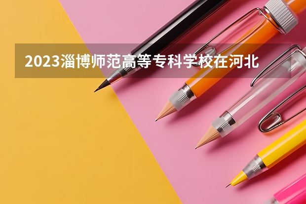 2023淄博师范高等专科学校在河北高考专业招生计划人数