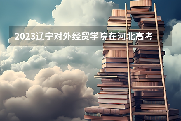 2023辽宁对外经贸学院在河北高考专业招生计划人数
