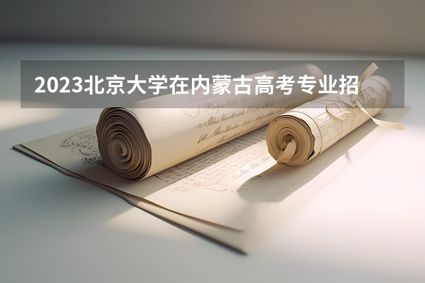 2023北京大学在内蒙古高考专业招生计划人数