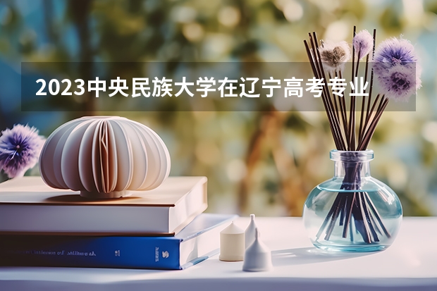2023中央民族大学在辽宁高考专业招生计划人数