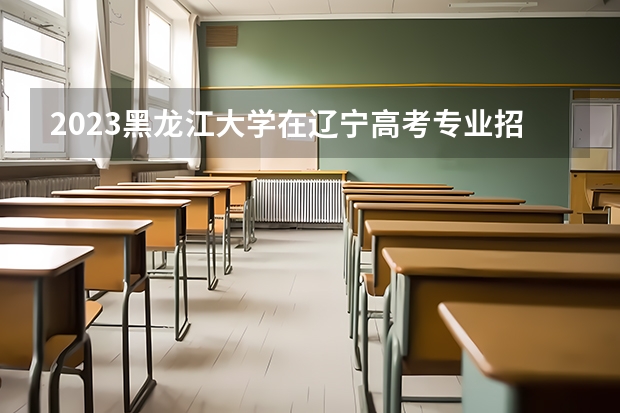 2023黑龙江大学在辽宁高考专业招生计划人数