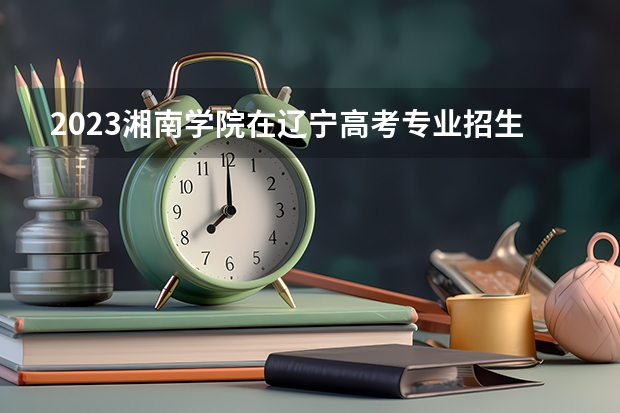 2023湘南学院在辽宁高考专业招生计划人数