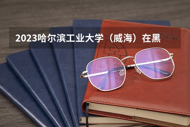 2023哈尔滨工业大学（威海）在黑龙江高考专业招生计划人数