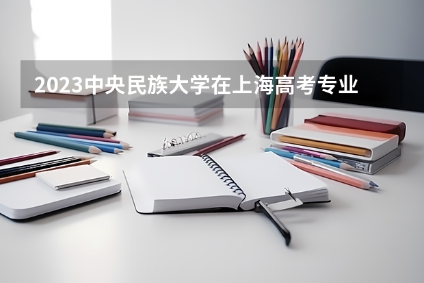 2023中央民族大学在上海高考专业招生计划人数