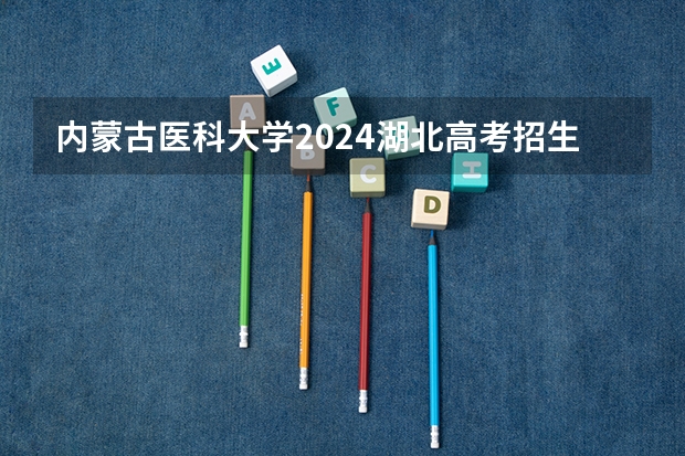 内蒙古医科大学2024湖北高考招生计划详解