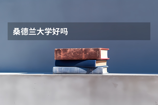 桑德兰大学好吗