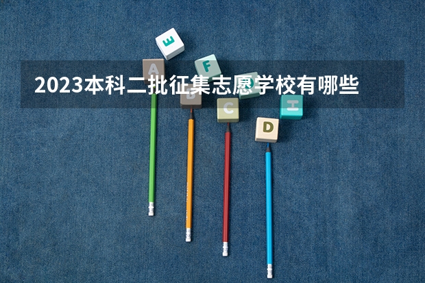 2023本科二批征集志愿学校有哪些
