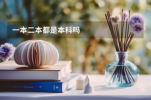 一本二本都是本科吗