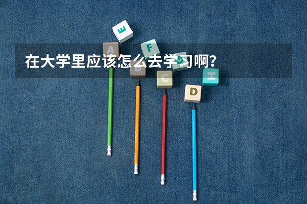 在大学里应该怎么去学习啊？