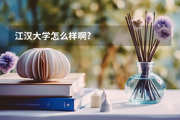 江汉大学怎么样啊?