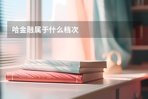 哈金融属于什么档次