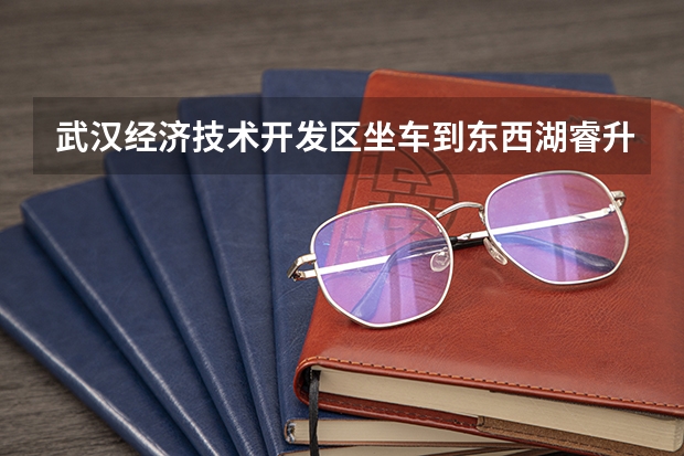 武汉经济技术开发区坐车到东西湖睿升中学怎么走
