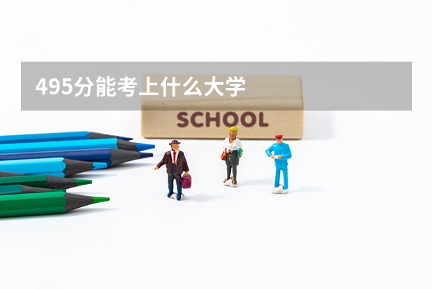495分能考上什么大学