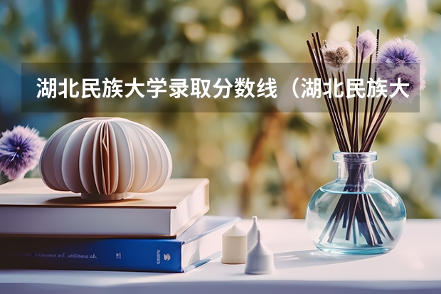 湖北民族大学录取分数线（湖北民族大学预科班分数线2023）