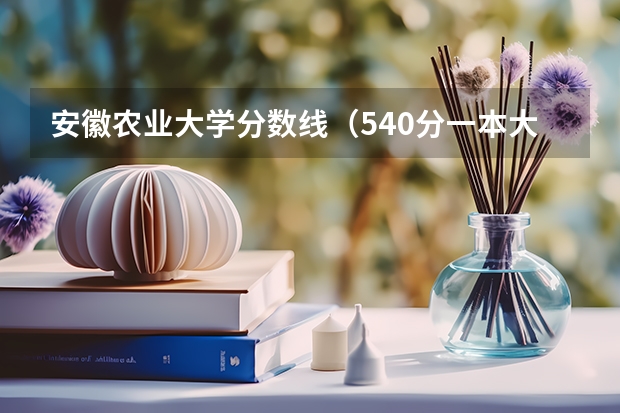 安徽农业大学分数线（540分一本大学名单）