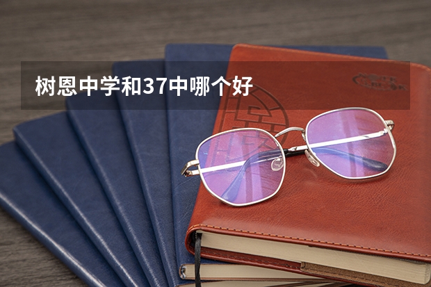 树恩中学和37中哪个好
