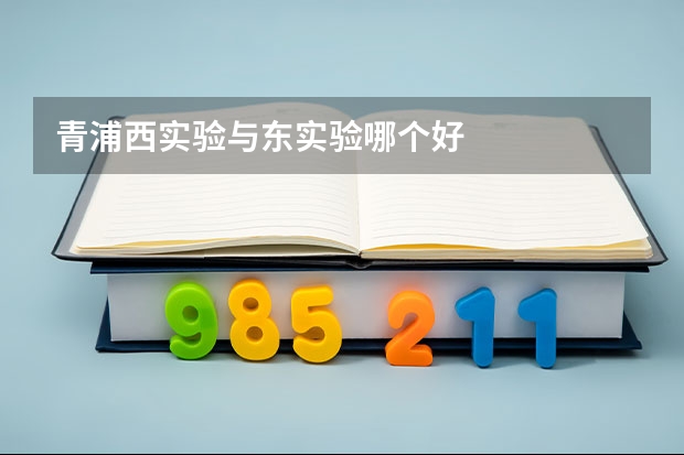 青浦西实验与东实验哪个好