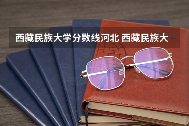 西藏民族大学分数线河北 西藏民族大学美术生录取分数线