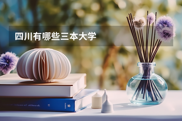 四川有哪些三本大学