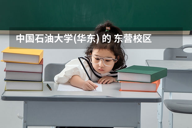 中国石油大学(华东) 的 东营校区和青岛校区 怎么安排学生啊