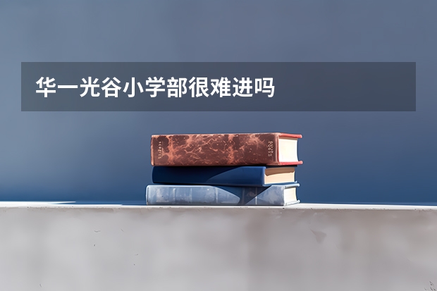 华一光谷小学部很难进吗