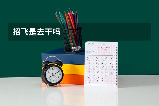招飞是去干吗