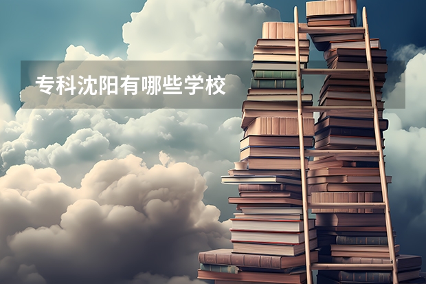 专科沈阳有哪些学校