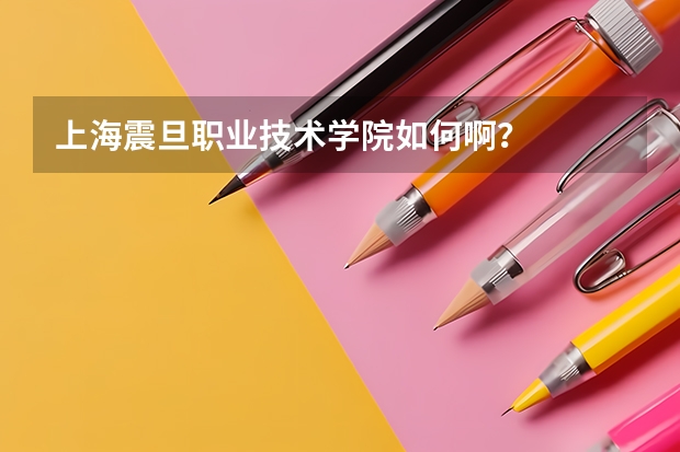 上海震旦职业技术学院如何啊?