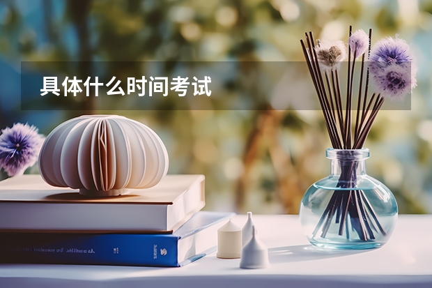 具体什么时间考试