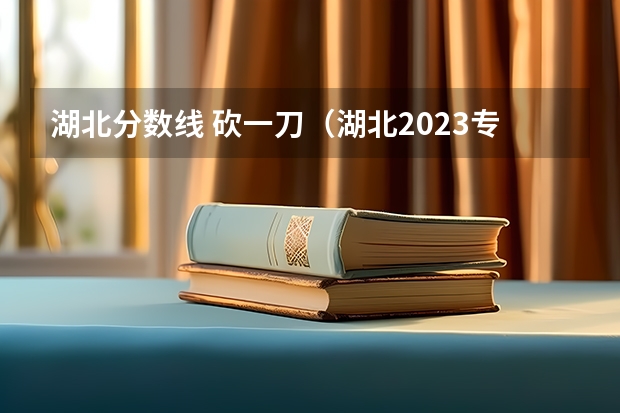 湖北分数线 砍一刀（湖北2023专科学校录取分数线）