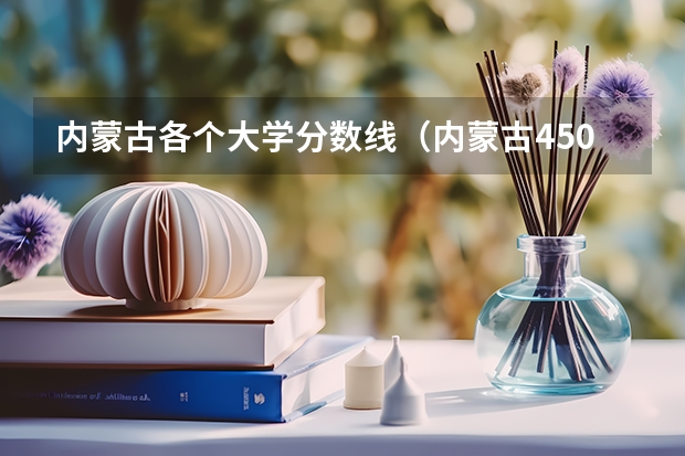 内蒙古各个大学分数线（内蒙古450分啥水平）