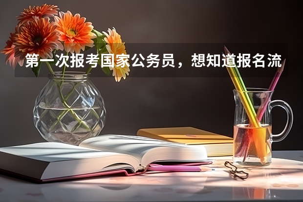 第一次报考国家公务员，想知道报名流程是什么样的程序？