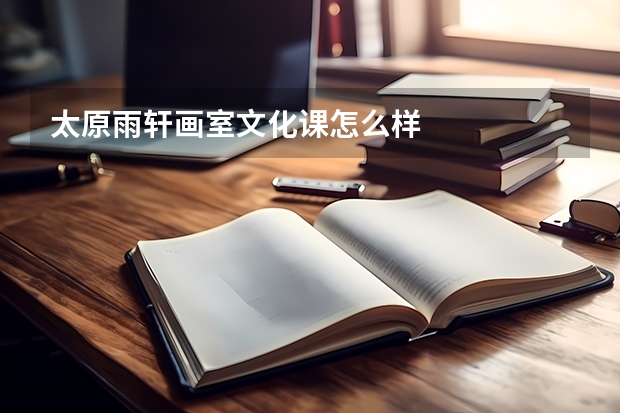太原雨轩画室文化课怎么样