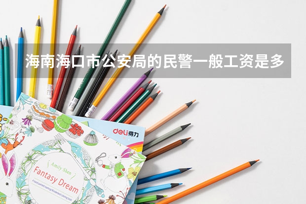 海南海口市公安局的民警一般工资是多少?