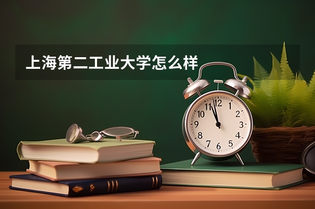 上海第二工业大学怎么样