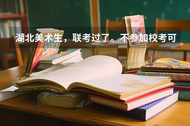 湖北美术生，联考过了。不参加校考可以读什么学校