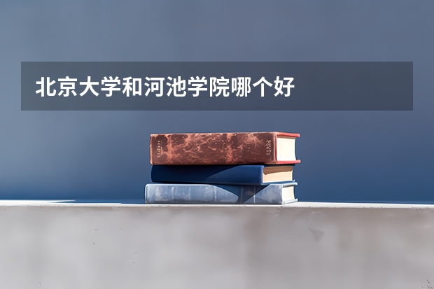 北京大学和河池学院哪个好