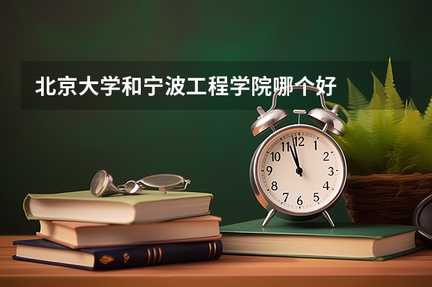 北京大学和宁波工程学院哪个好