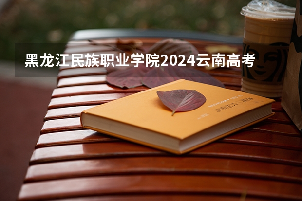 黑龙江民族职业学院2024云南高考招生计划详解