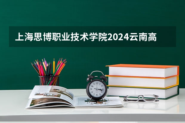 上海思博职业技术学院2024云南高考招生计划详解