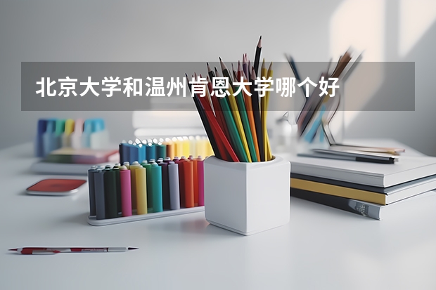 北京大学和温州肯恩大学哪个好