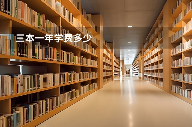 三本一年学费多少