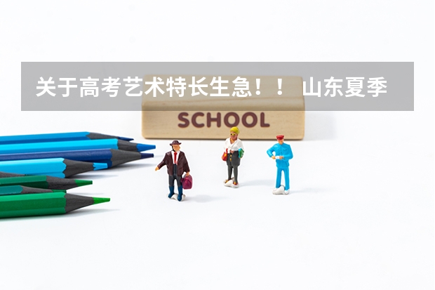 关于高考艺术特长生...急！！ 山东夏季高考报名流程