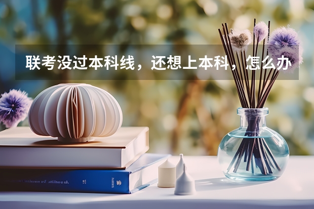 联考没过本科线，还想上本科，怎么办？