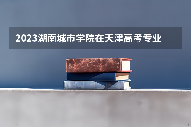 2023湖南城市学院在天津高考专业招生计划人数