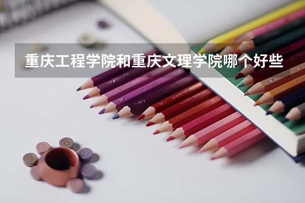 重庆工程学院和重庆文理学院哪个好些呢？