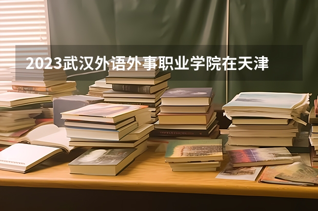 2023武汉外语外事职业学院在天津高考专业招生计划人数