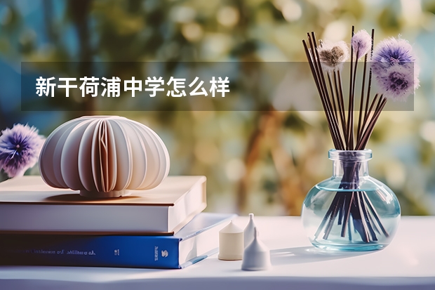 新干荷浦中学怎么样