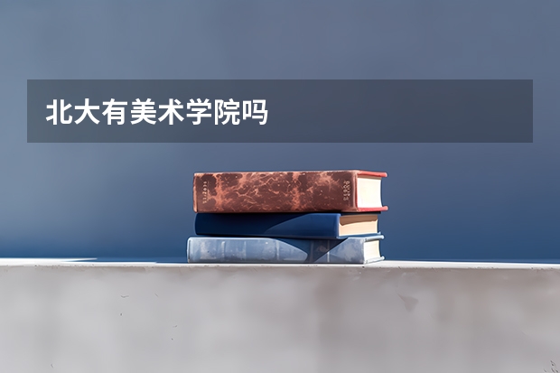 北大有美术学院吗