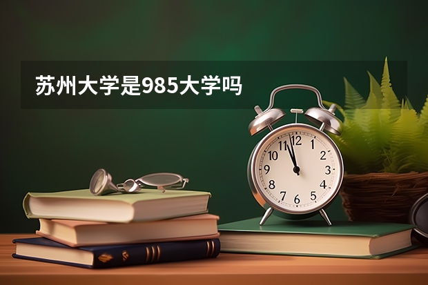 苏州大学是985大学吗